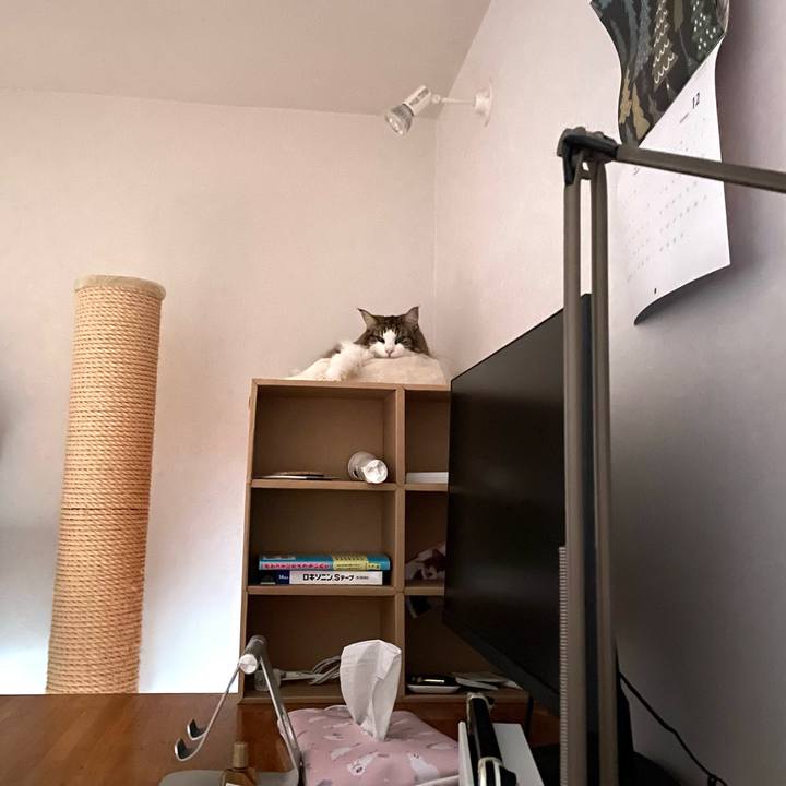 0627be2c 0236 4fa2 993a f86aaf23aa0c 1763164481368