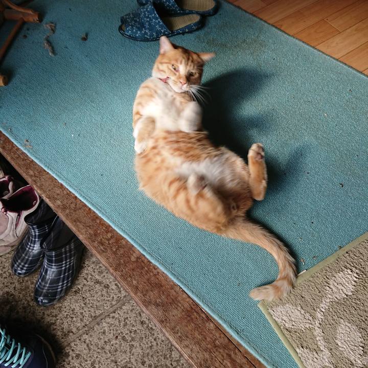 0627cc1a cd66 4d60 b325 af66d46942d7 1572847867118