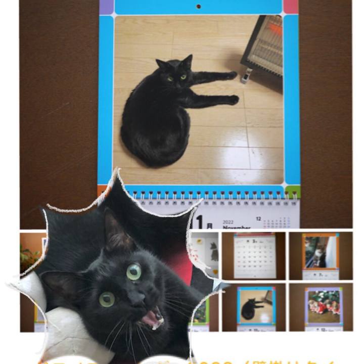 06280415 d4cf 49da ae9c c447b59248bf 1634433576071