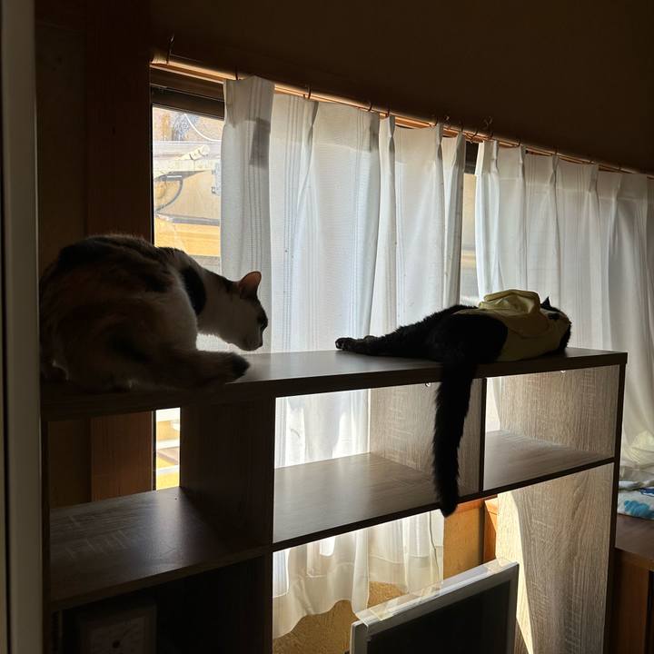 062806b0 6237 4d55 ad95 ddacbb6591fe 1723165006989