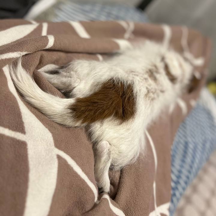 06283c81 9336 40a2 a696 efe981154ac7 1708250270084