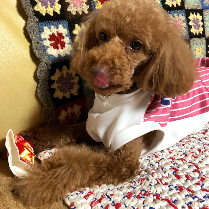 06286f4b d4e4 4966 a6d7 3d9843a950c3 1556864243552