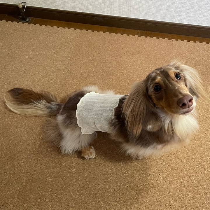 062893dc e7ce 426c beac a3d0d26ac358 1763160495584