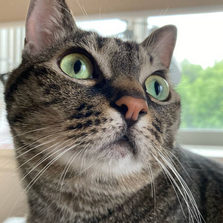 0628ec90 5835 473c 8b27 97f5a91c48ab 1654933992343