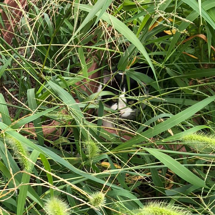 062918d5 76d4 426d a26f 63bf7436d56a 1535109559699