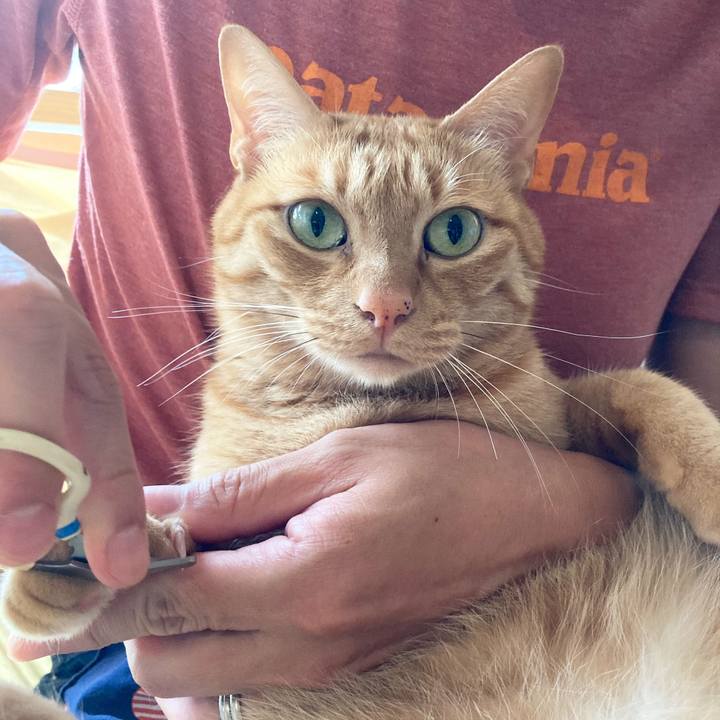 06292536 7bd6 48c5 b0c4 f2591efff900 1596240292553