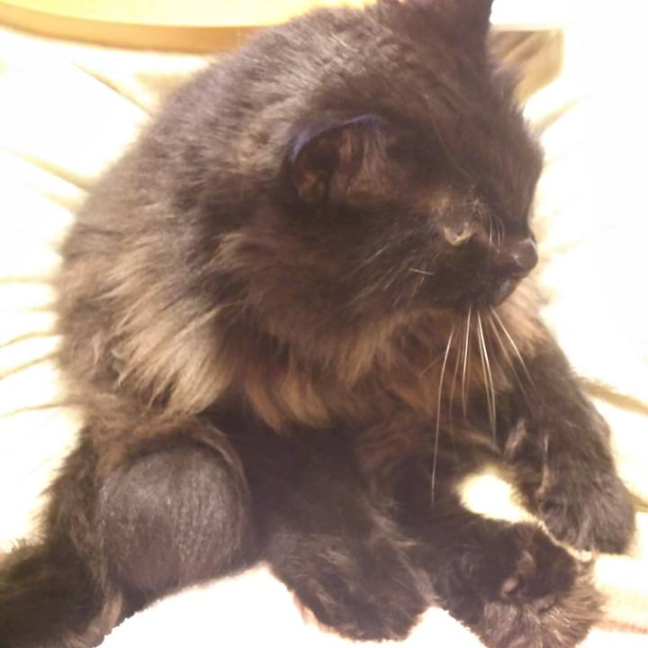 062930e9 02c7 4a6e ad49 6f3d8d863971 1572094622107