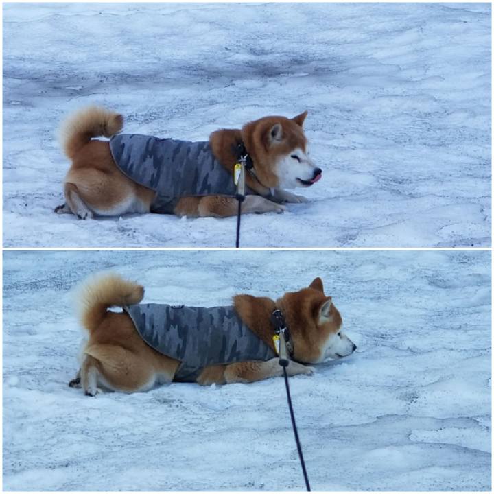 062a1dd6 be6f 4e5b 94ff 3adf7b73b298 1648614179078