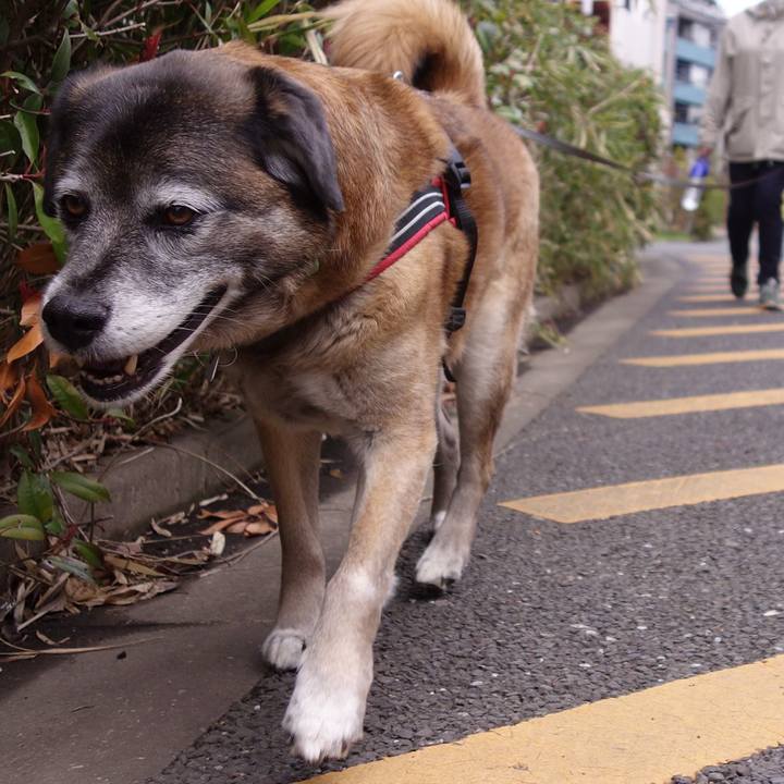 062a2065 3350 40e5 8826 1b04c5cbac8c 1630542870429