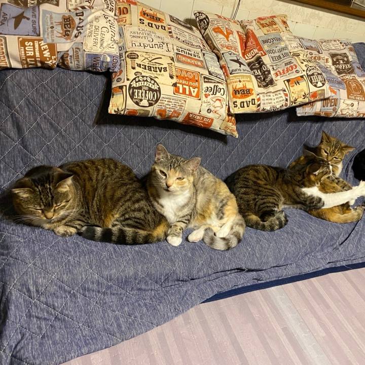 062a3f30 6e26 40af b88a 5811d5464323 1618915877932