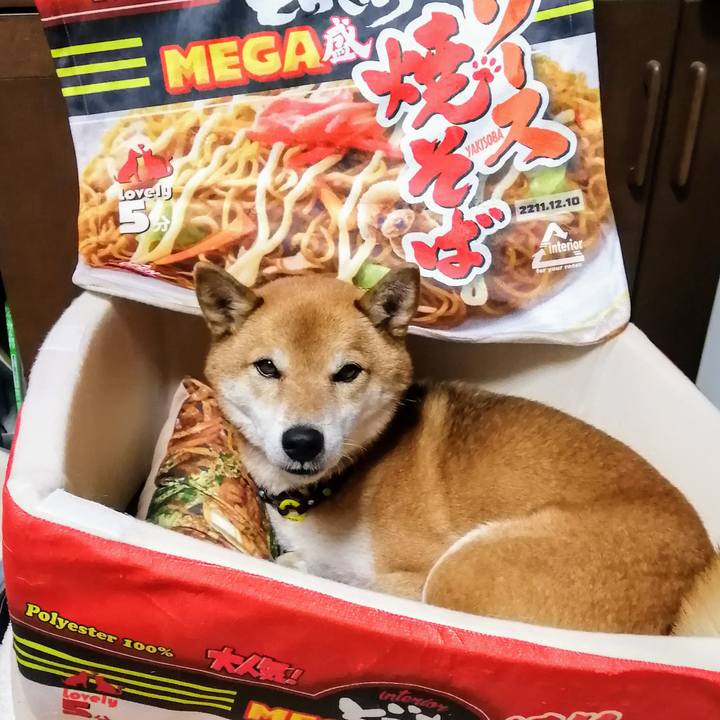 062a5d61 6cb0 40a6 96da 9c02e1a30b70 1606208784481