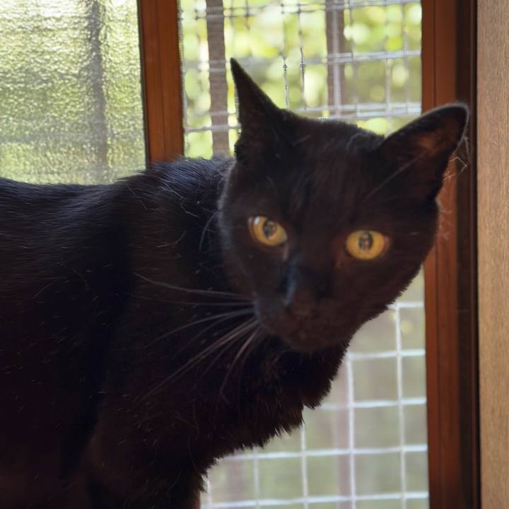 062a9d45 cfb8 4f13 a79d 30792afdee8e 1694312327692