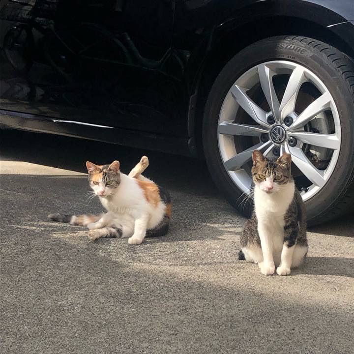 062ab638 1a94 49c5 a777 37c1834ebaa5 1568466860210