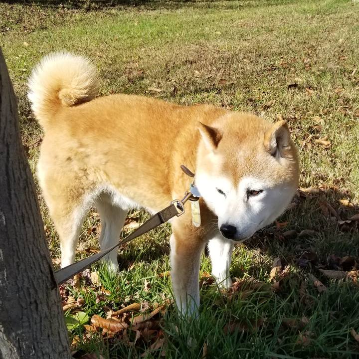 062abf96 dfc0 4b75 9938 191962d172fb 1699932985716