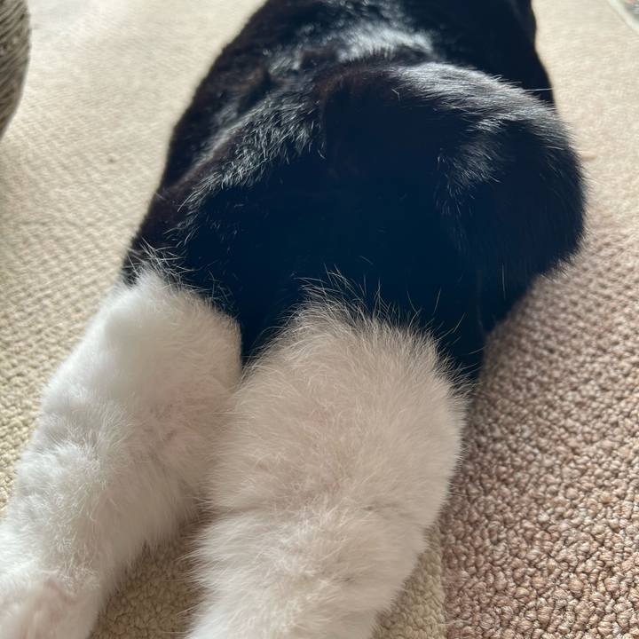 062ad402 957a 4e96 b0c2 9a1ce3260b01 1764374275760