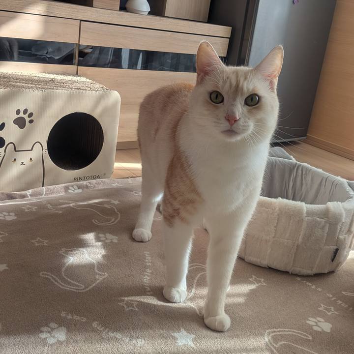 062aef72 2bd5 4d5b b87b d3c191424d22 1764298946142