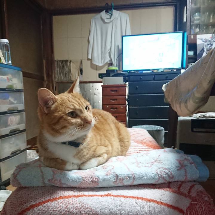 062b30f5 2902 46c6 841b 3b0496231d40 1603749763798