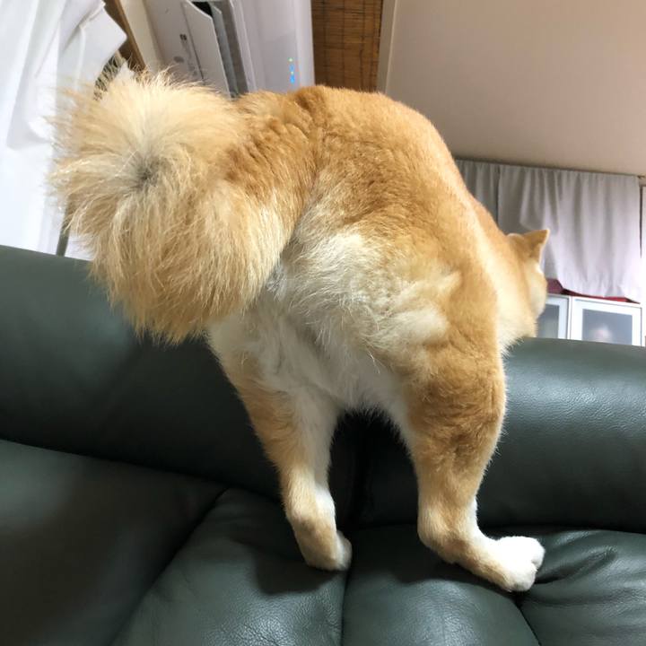 062b324a 8a4e 47ec aa06 05a040281e1f 1586786742879