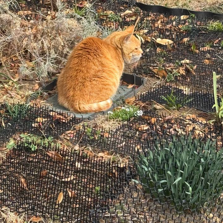 062b344d 9fad 4104 a689 d1ab80fc0400 1773369591534