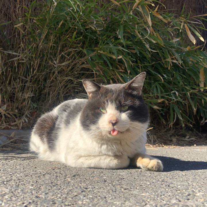 062b67fc 6279 4437 b496 dde57c2ec1a6 1644765024559