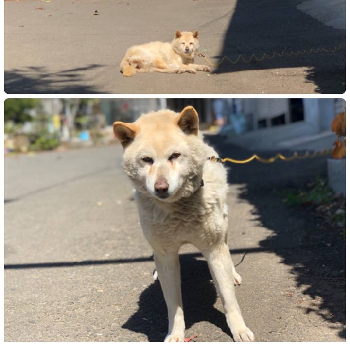 062b8422 4702 418b a7c9 8821d95e5085 1555330809939