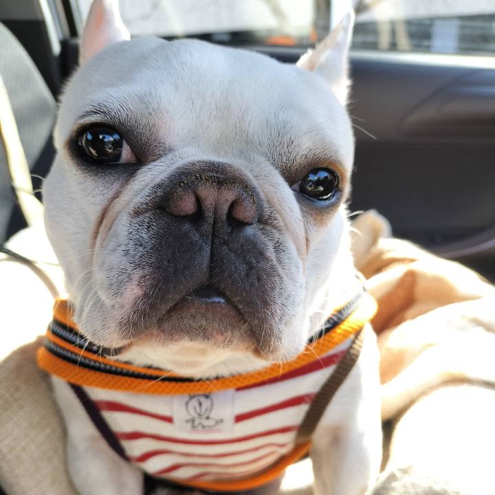 062b94fb affa 4816 9b68 891617d473f9 1694336469121