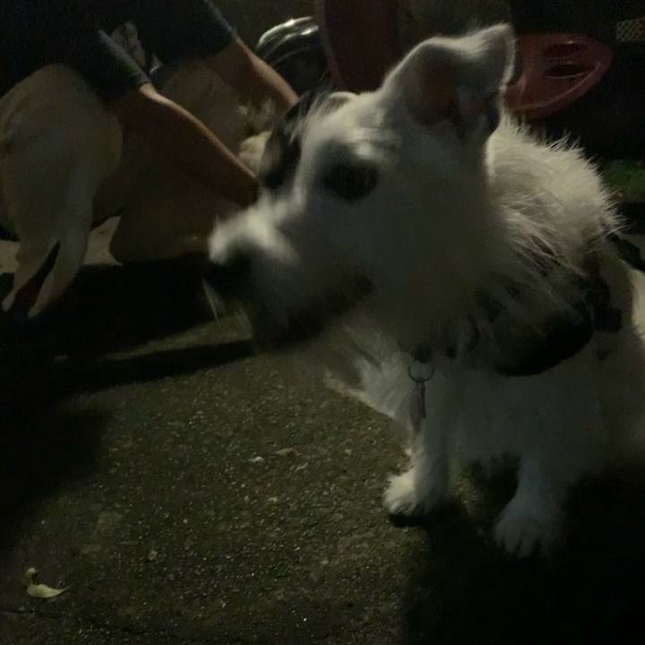 062bd214 e862 44b3 b0df 1f8bef299759 1663591981845