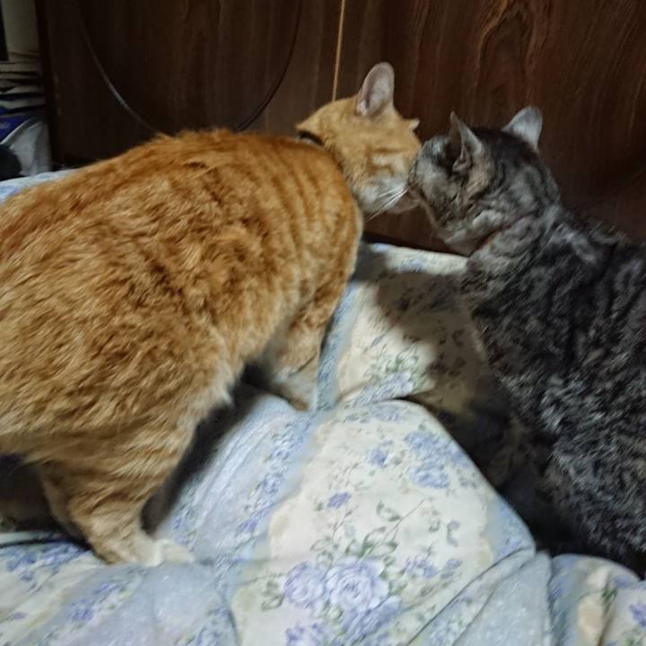 062c5452 92b6 4dc1 977b 5b0045f4a1f8 1588940286431