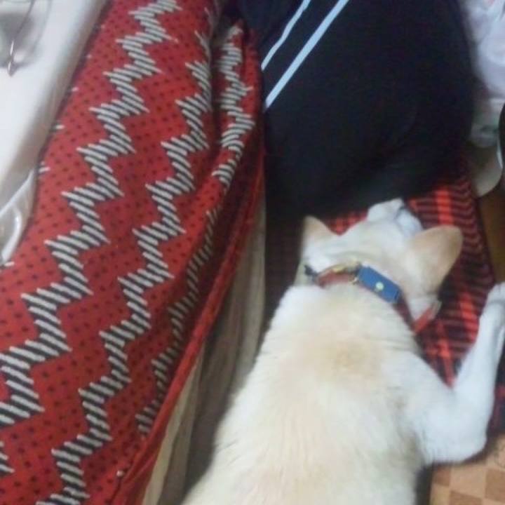 062c7e28 e3d0 436a 80cd bfbbf052cd6a 1519931573696