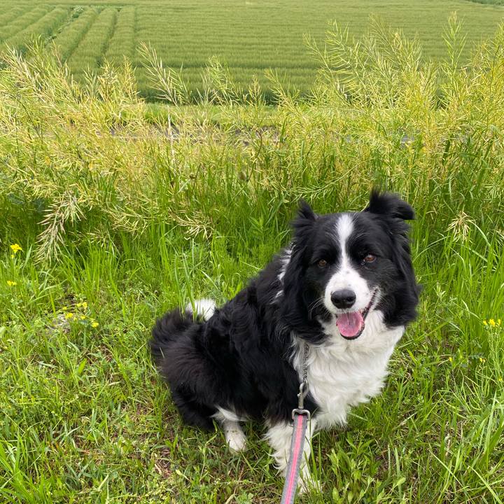 062c818f 9adc 4994 a3e4 c3b19656df74 1650669929669