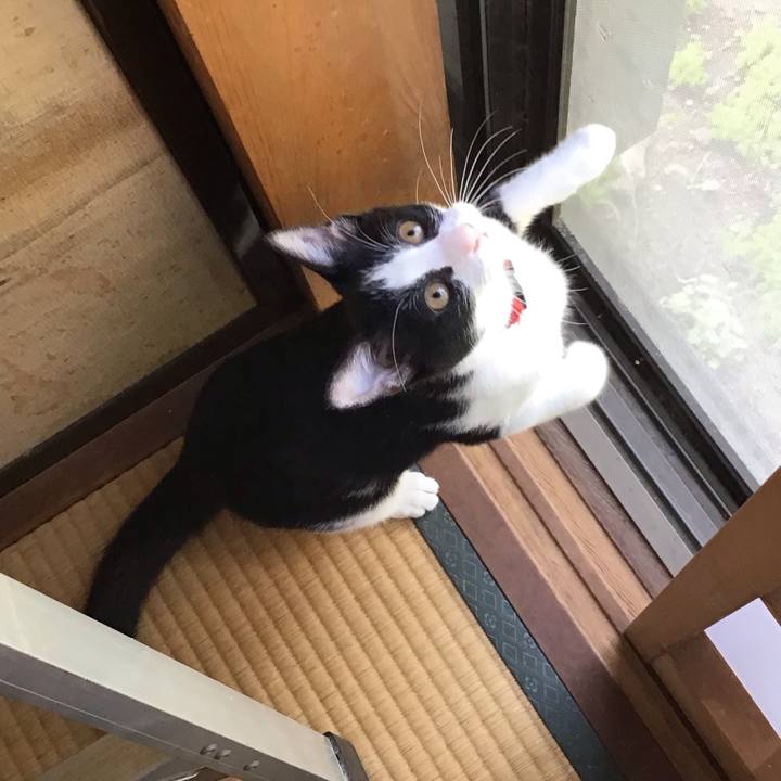 062ca001 97b6 43f9 a0c3 101a84bbf0dd 1629180104370