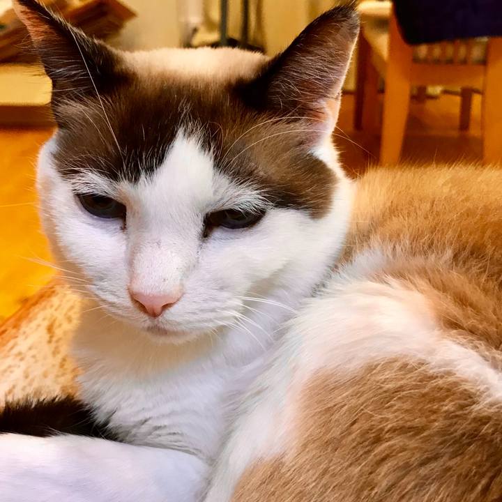 062cbc65 e75c 4300 a74f 0cdeacf702b6 1545302208127