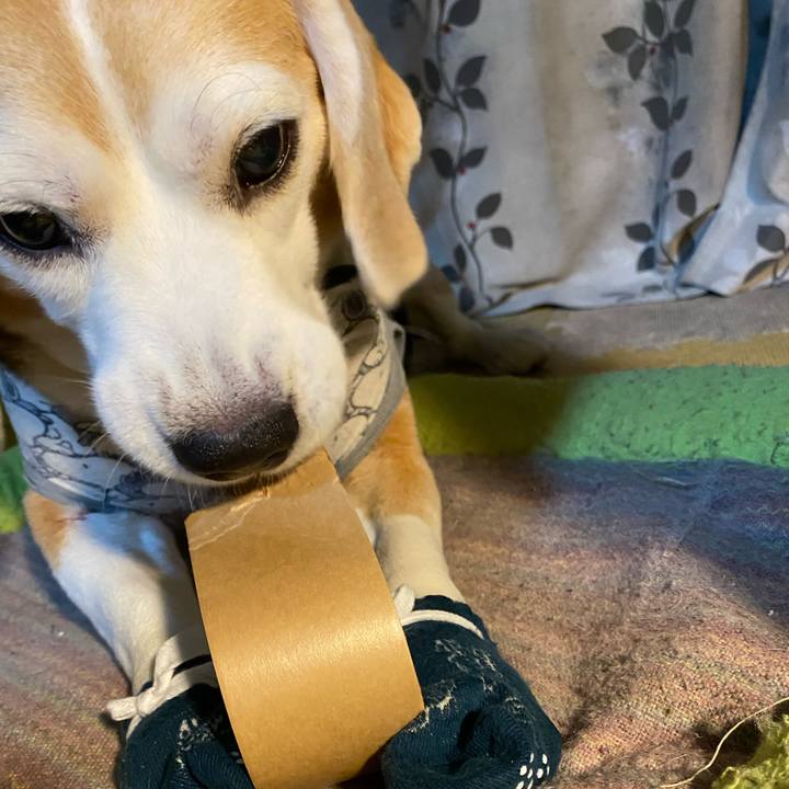 062d54d0 a29e 4d2b b16c 0d6851bfccb3 1590590162974