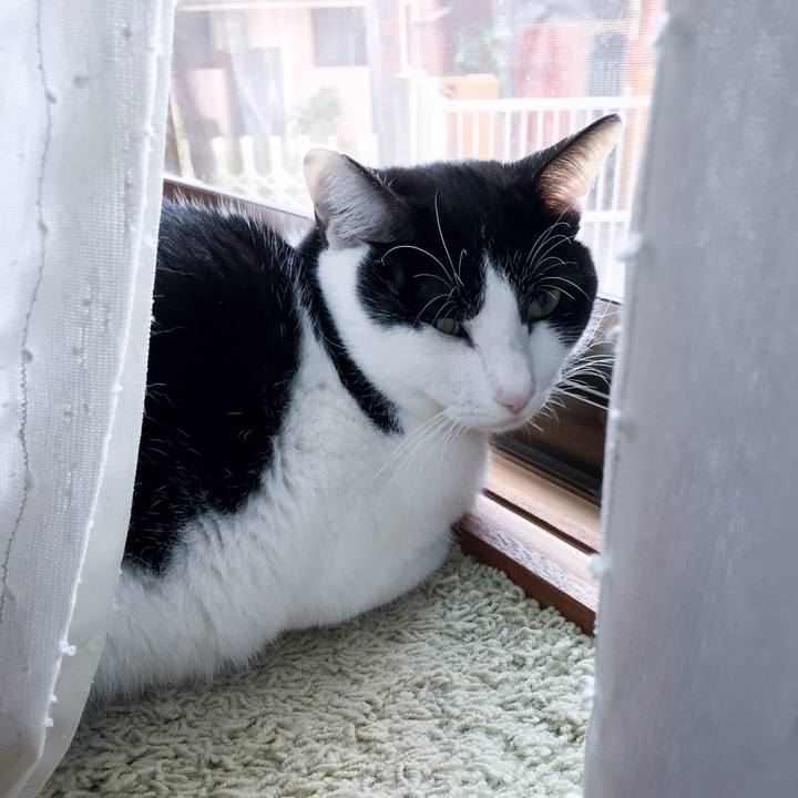 062d59d5 41cc 4235 b14a 33e79cfc3074 1515681538716