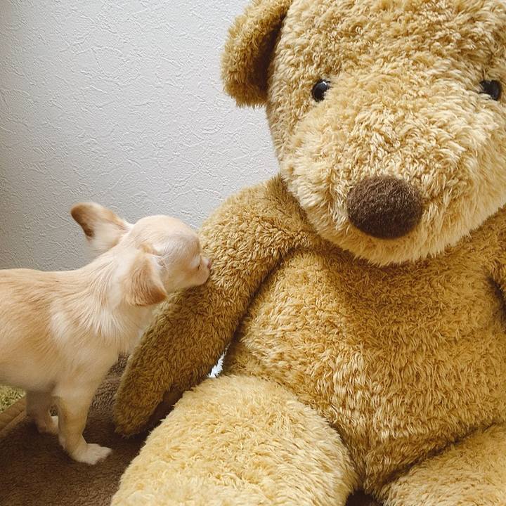 062d681c c3c5 46fa a4fe 332584ec608e 1596178232530