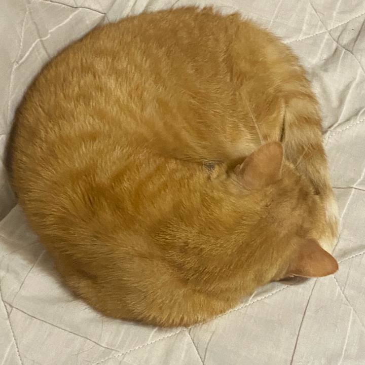 062d7fa2 2ae7 4daa 9454 7a3ff7413124 1639702821062