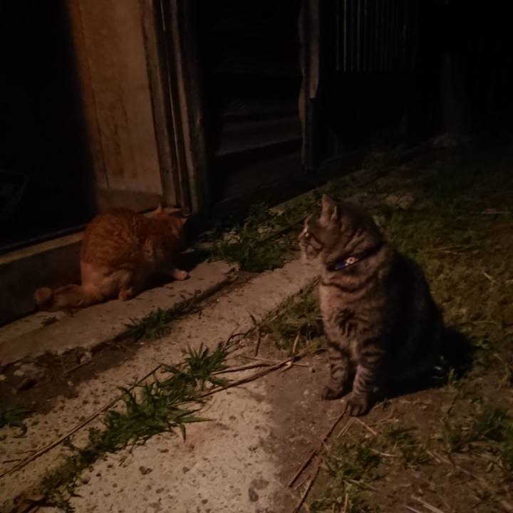 062d89f0 cf91 4bd4 9182 2a3b4899379a 1655724121178