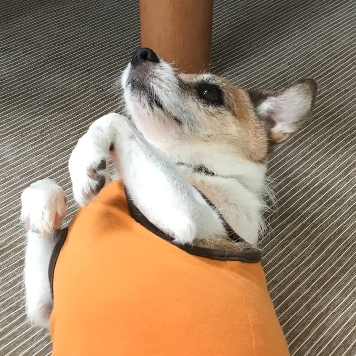 062da01a 088f 4153 870a 52eff1c7ca05 1599883296012