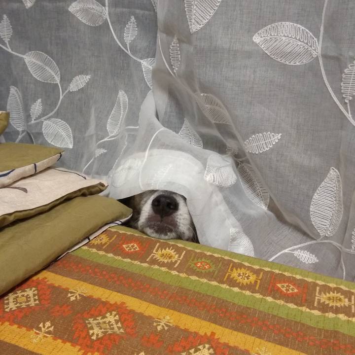 062dbc62 2ee6 4e69 b03b da2e11d712e8 1565014155237