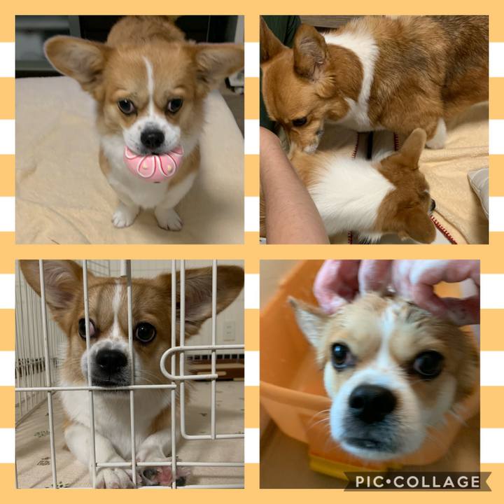 062dbe6f 4f41 4103 91d1 73b3a161a31e 1590409098985