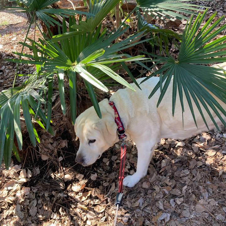 062dc20b 6501 4a56 97cc fb4d30e1bdca 1743049003740