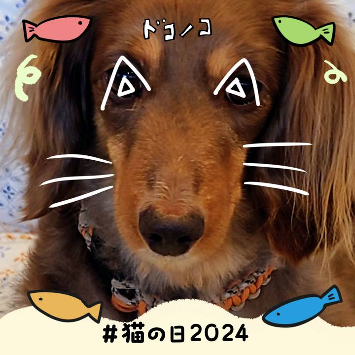 062dc4b9 7d8b 4806 8565 0849f1204164 1708569665906