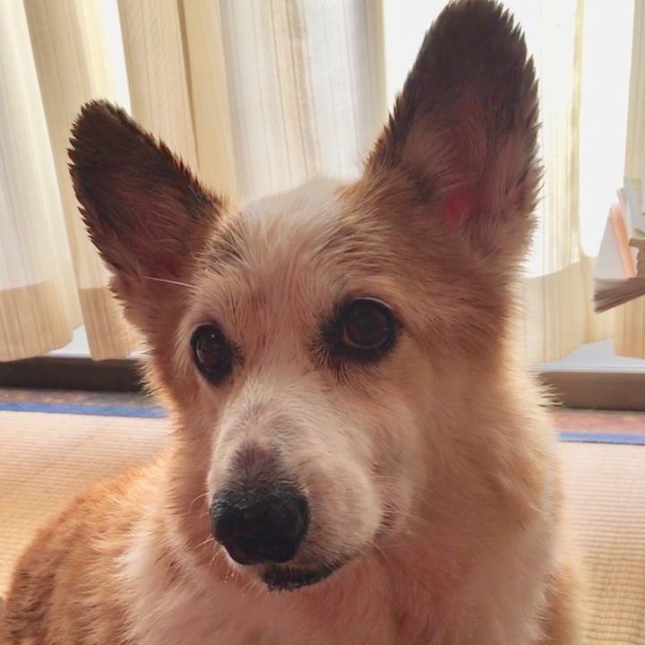 062ddb7d 8b6d 4a6d af42 6800c8eff152 1571484077157