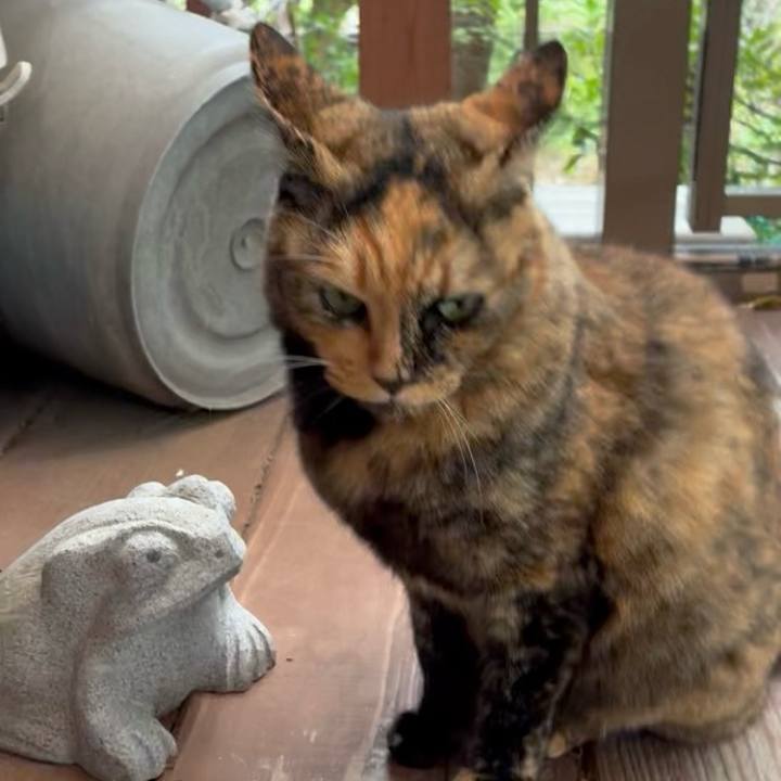 062ddccf 34f1 49bb 91e7 d5e244b7f1ef 1761360839699