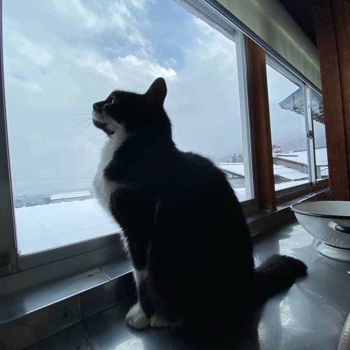 062de98d 01c1 4759 a09c 905c5e7a8b0c 1607924408872