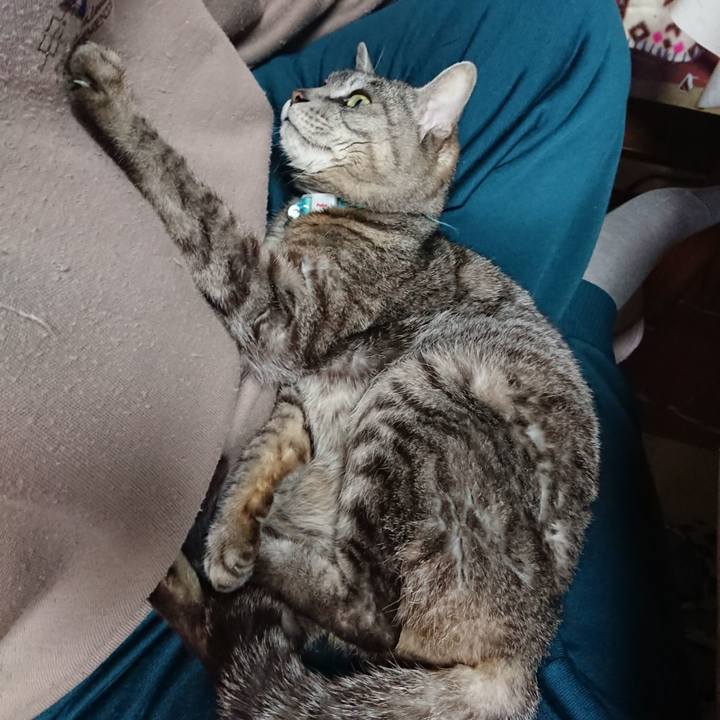 062e2cc0 1047 4349 9e69 7cd4d47bb026 1556419531841