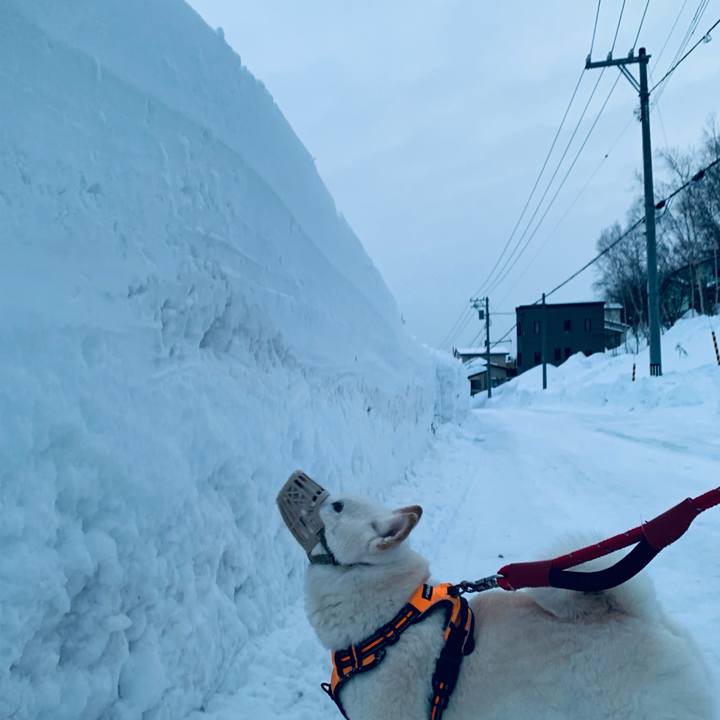 062e3725 001f 4a6f 98c7 1f3e64c756bb 1673993234507