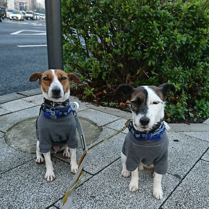 062e4ba7 1190 4a82 bf27 e4bfb1b972f5 1541800435033