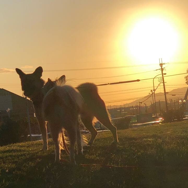 062e6985 e502 4c93 bf25 e0c611b88879 1572951889873