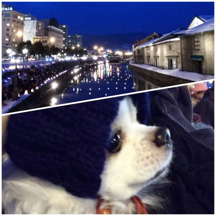 062efd1d 06f2 4a44 859c 8018b5567c0a 1518263218854